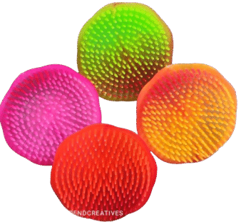Relax & Style: Round Plastic Hair Comb & Scalp Massager (Multicolor)(Pack of 4)
